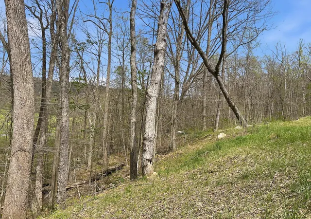 5th image of 0 Tick Ridge Koenig Rd, Otway, OH 45657 | MLS# 226015359