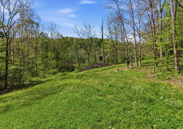 4th image of 0 Rockville Rd, Blue Rock, OH 43720 | MLS# 226016000