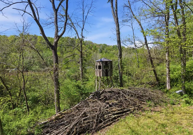 5th image of 0 Rockville Rd, Blue Rock, OH 43720 | MLS# 226016000