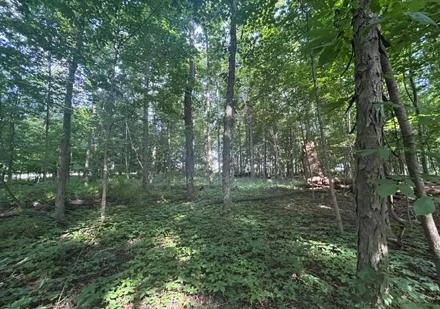 1st image of 5387 Dildine Rd, Delaware, OH 43015 | MLS# 226016010