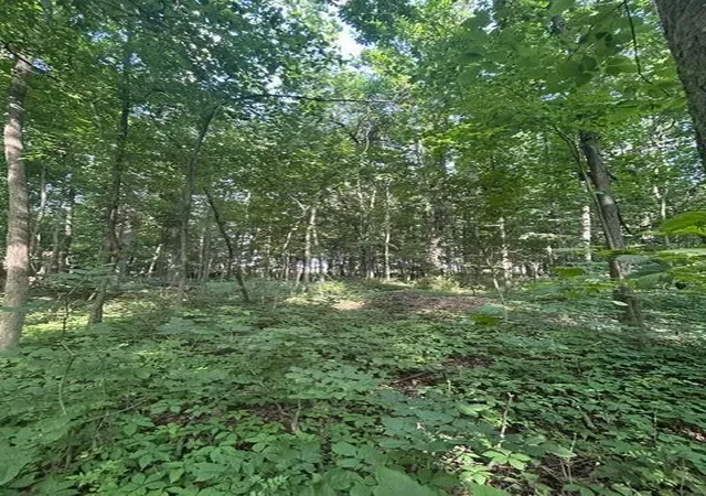 3rd image of 5387 Dildine Rd, Delaware, OH 43015 | MLS# 226016010