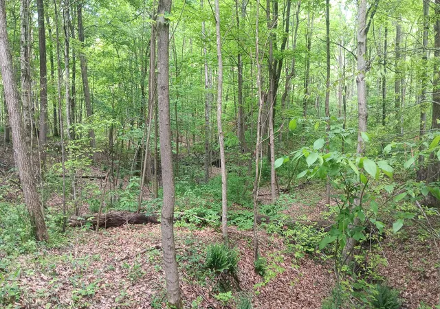 Homes for sale in Albany, OH | 0 Sand Ridge Rd #(Albany Hideaway Tract 1), Albany, OH 45710 | MLS# 226016125