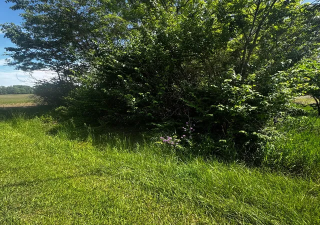 Homes for sale in Ostrander, OH | 0 Brown Rd, Ostrander, OH 43061 | MLS# 226018803