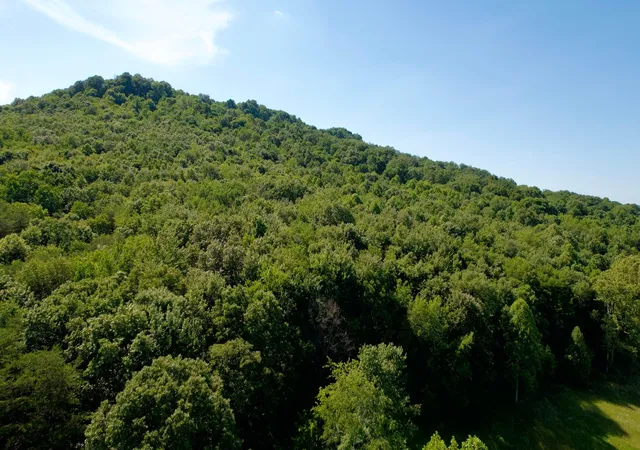 1st image of 0 State Route 104, Lucasville, OH 45648 | MLS# 226019688