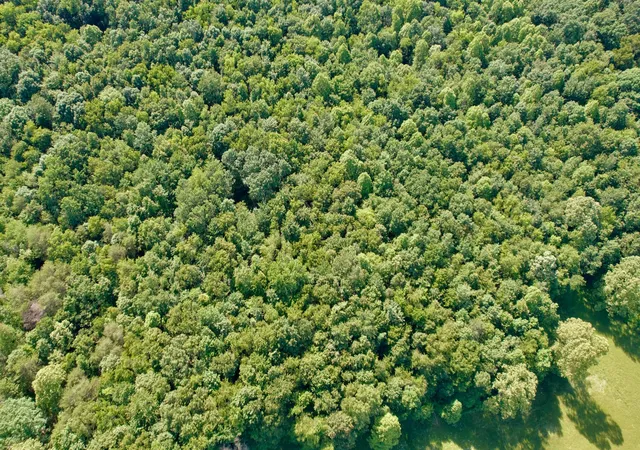 4th image of 0 State Route 104, Lucasville, OH 45648 | MLS# 226019688