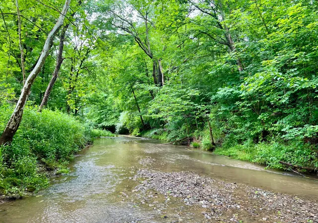 Photo 4 of Single family home for sale at 7455 Old Grade Rd, Chesterhill, OH 43728 | MLS# 226020079 | Listing updated on 2026-07-29