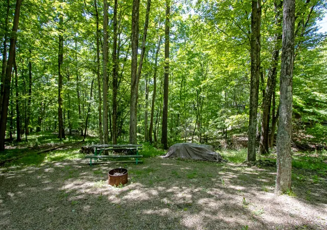 1st image of 16135 Township Road 211 #478-479, Loudonville, OH 44842 | MLS# 226020446