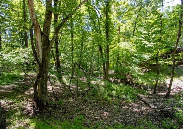 2nd image of 16135 Township Road 211 #478-479, Loudonville, OH 44842 | MLS# 226020446