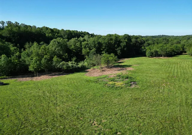 Homes for sale in Albany, OH | 0 Sand Ridge Rd #(Albany Hideaway Tract 2), Albany, OH 45710 | MLS# 226020746