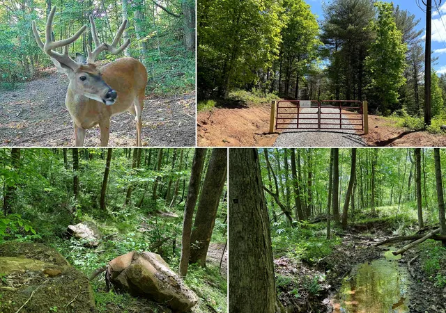 Homes for sale in Cheshire, OH | 0 Little Kyger Rd #(Little Kyger Tract 8), Cheshire, OH 45620 | MLS# 226021355