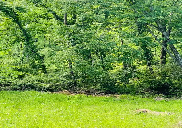 2nd image of 4744 Spring Hill Rd Se, Heath, OH 43056 | MLS# 226020936
