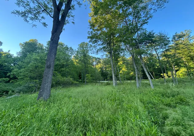 Homes for sale in Utica, OH | 12929 Pleasant Valley Rd Ne, Utica, OH 43080 | MLS# 226021047