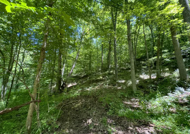 Photo 4 of Land for sale at 0 Long Holw Rd, Pomeroy, OH 45769 | MLS# 226021397 | Listing updated on 2026-07-29