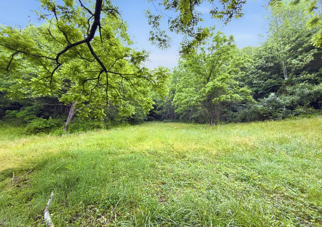 Photo 3 of Land for sale at 0 State Route 140, South Webster, OH 45682 | MLS# 226021398 | Listing updated on 2026-07-29