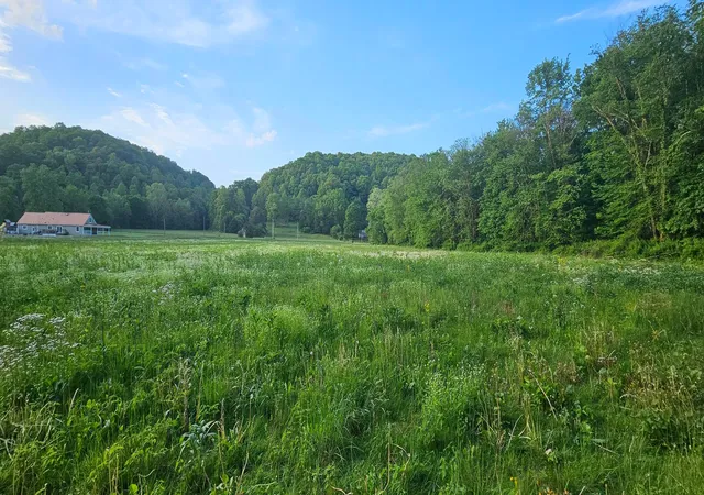 Photo 51 of Single family home for sale at 22983 Big Pine, Laurelville, OH 43135 | MLS# 226021603 | Listing updated on 2026-07-29