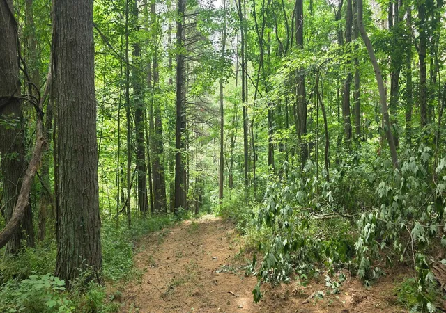 Photo 3 of Land for sale at 2709 Arter Rd SW, Lancaster, OH 43130 | MLS# 226021807 | Listing updated on 2026-08-27