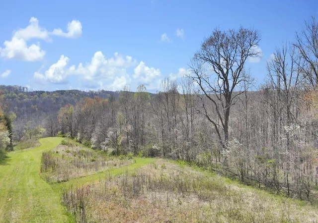 Homes for sale in Vinton, OH | 0 Covered Bridge Rd, Vinton, OH 45686 | MLS# 226021924