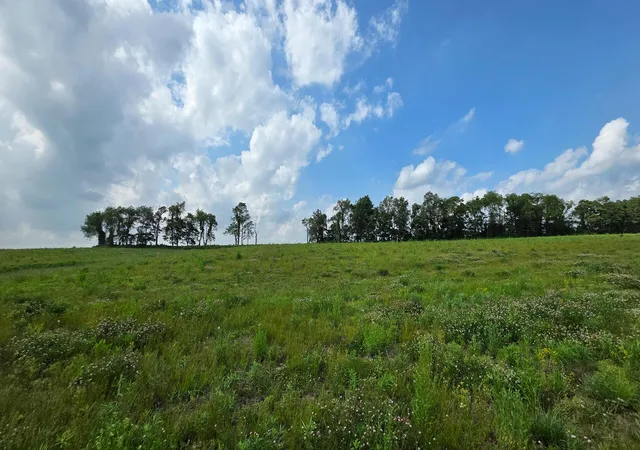 Homes for sale in Somerset, OH | 0 State Route 22 Rd Nw #Sheridan Estates (Tract 11), Somerset, OH 43783 | MLS# 226022153