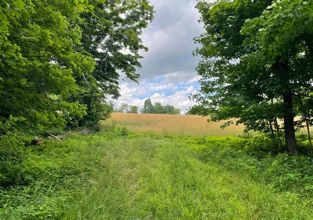 Homes for sale in Thornville, OH | 0 Township Rd 98, Thornville, OH 43076 | MLS# 226022455