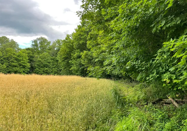 Homes for sale in Thornville, OH | 0 Township Rd 98, Thornville, OH 43076 | MLS# 226022455