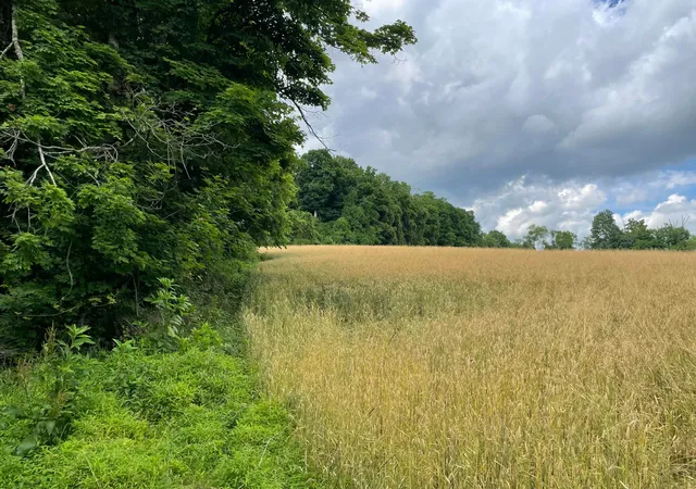 Homes for sale in Thornville, OH | 0 Township Rd 98, Thornville, OH 43076 | MLS# 226022455