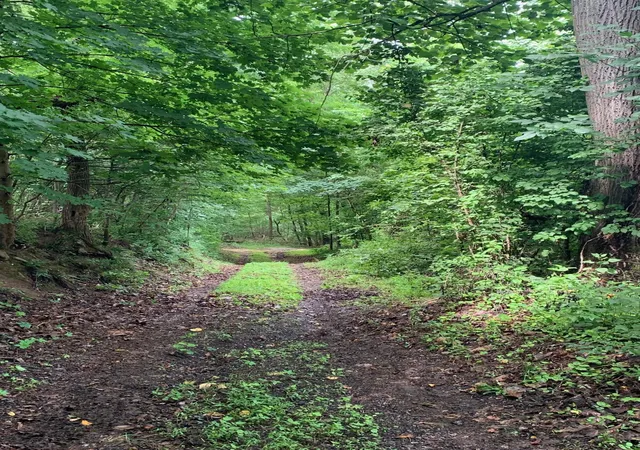 5th image of 9879 Snortin Ridge Rd Sw, Lancaster, OH 43130 | MLS# 226022482