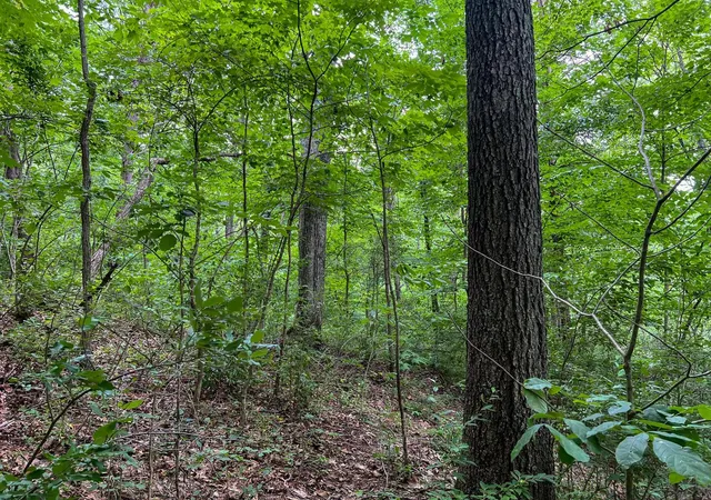 Homes for sale in Rayland, OH | 0 Rush Run Rd, Rayland, OH 43943 | MLS# 226023073