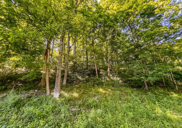 Homes for sale in Rayland, OH | 0 Rush Run Rd, Rayland, OH 43943 | MLS# 226023073