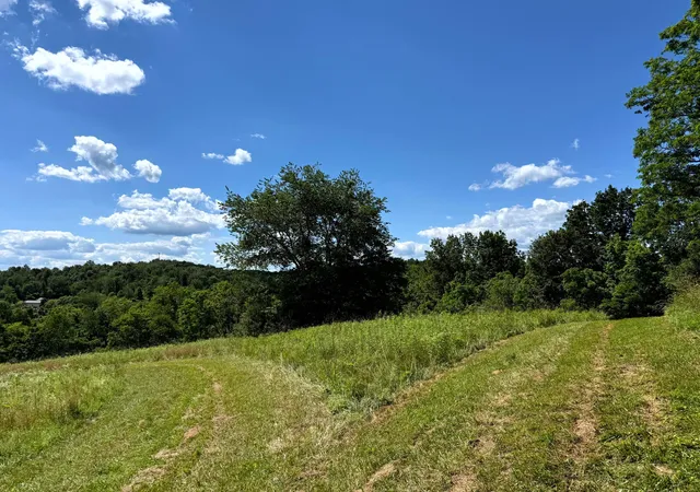 Homes for sale in Jackson, OH | 0 Cutlip St #(Tract 3 at Jackson Oaks), Jackson, OH 45640 | MLS# 226023119