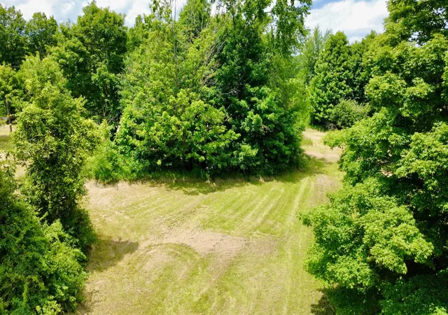 Homes for sale in Mount Gilead, OH | 6574 US 42, Mount Gilead, OH 43338 | MLS# 226023797