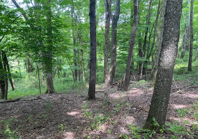 Homes for sale in Granville, OH | 122 Orchard Wood Path, Granville, OH 43023 | MLS# 226023902