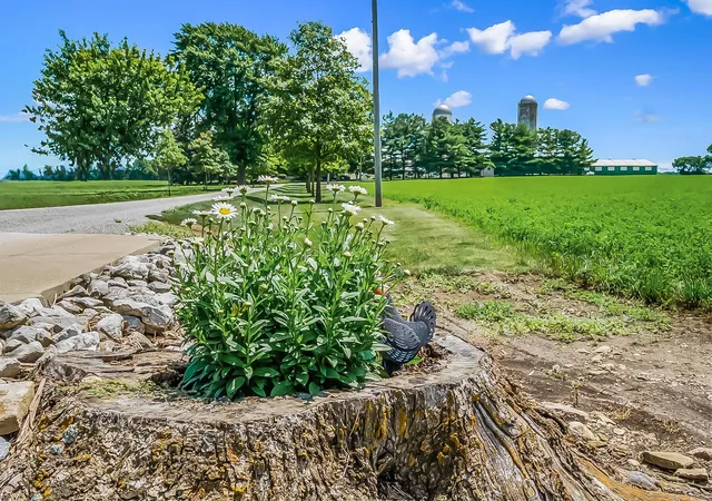 Homes for sale in Radnor, OH | 3866 State Route 203, Radnor, OH 43066 | MLS# 226025856