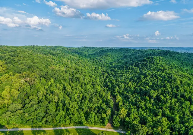 5th image of 0 Millers Run-Back Run Rd, Lucasville, OH 45648 | MLS# 226024392