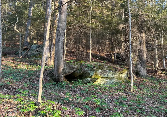 Homes for sale in Rockbridge, OH | 24639 State Route 180, Rockbridge, OH 43149 | MLS# 226024657