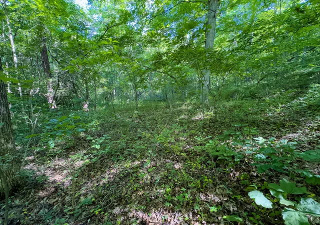 Photo 5 of Land for sale at 0 Jake Rd, Patriot, OH 45658 | MLS# 226024480 | Listing updated on 2026-08-03