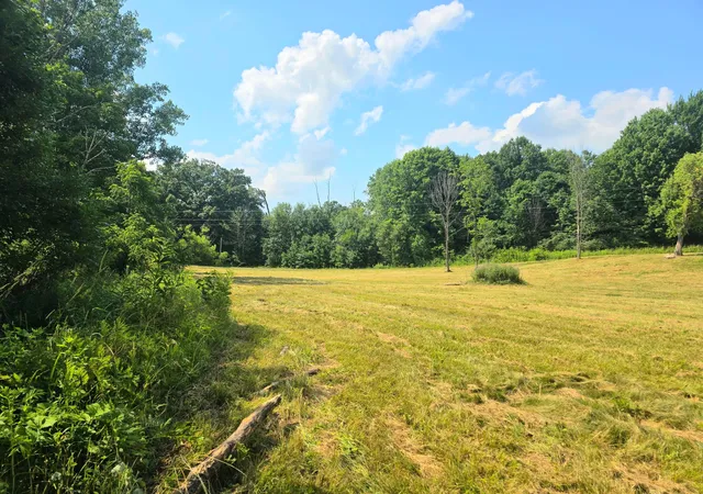 Homes for sale in Fredericktown, OH | 9026 Gregg Rd, Fredericktown, OH 43019 | MLS# 226025139