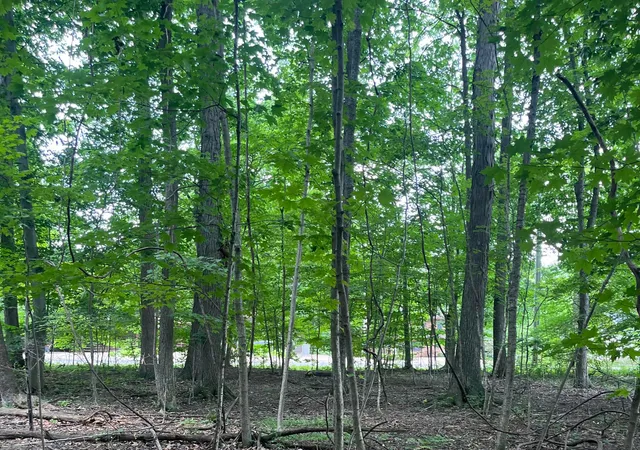 Homes for sale in Mount Gilead, OH | 7326 State Route 19 #Unit 10. 46 & 47, Mount Gilead, OH 43338 | MLS# 226024959