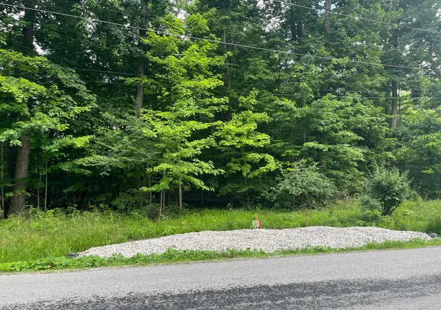 Homes for sale in Mount Gilead, OH | 7326 State Route 19 #Unit 10. 46 & 47, Mount Gilead, OH 43338 | MLS# 226024959