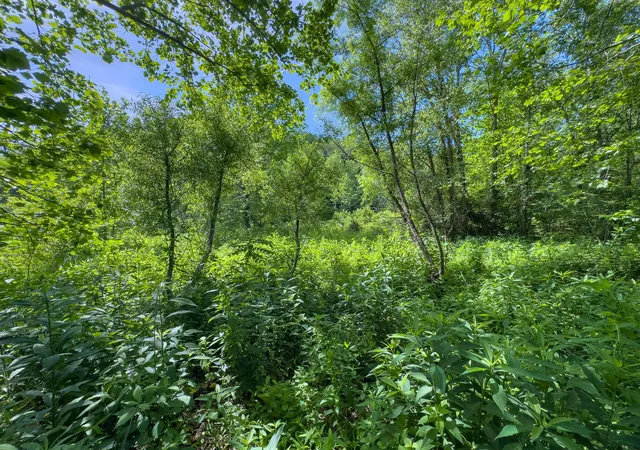 Photo 5 of Sale Pending at Tract 3 Jake Rd, Patriot, OH 45658 | MLS# 226025048 | Listing updated on 2026-08-14