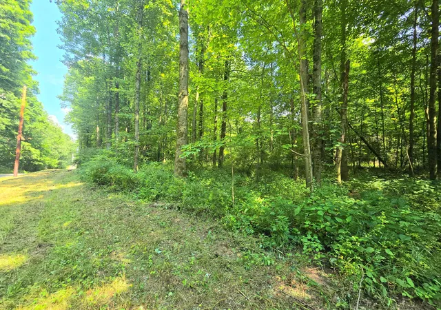 Homes for sale in Fredericktown, OH | 9026 1 Gregg Rd, Fredericktown, OH 43019 | MLS# 226025140