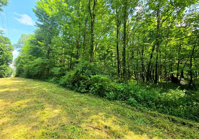 Homes for sale in Fredericktown, OH | 9026-1 Gregg Rd, Fredericktown, OH 43019 | MLS# 226025140