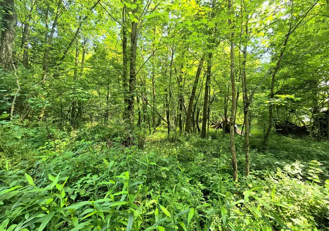 Homes for sale in Fredericktown, OH | 9026-1 Gregg Rd, Fredericktown, OH 43019 | MLS# 226025140