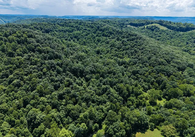3rd image of 3247 Mcnamer Brown Rd, Lucasville, OH 45648 | MLS# 226025581