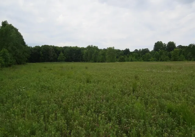 1st image of 9730 Butcher Rd, Mount Vernon, OH 43050 | MLS# 226026432