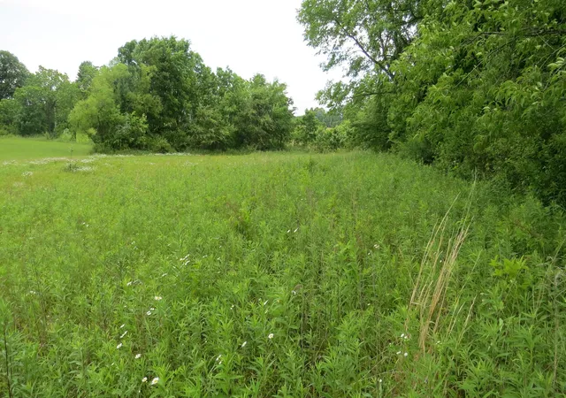 3rd image of 9730 Butcher Rd, Mount Vernon, OH 43050 | MLS# 226026432