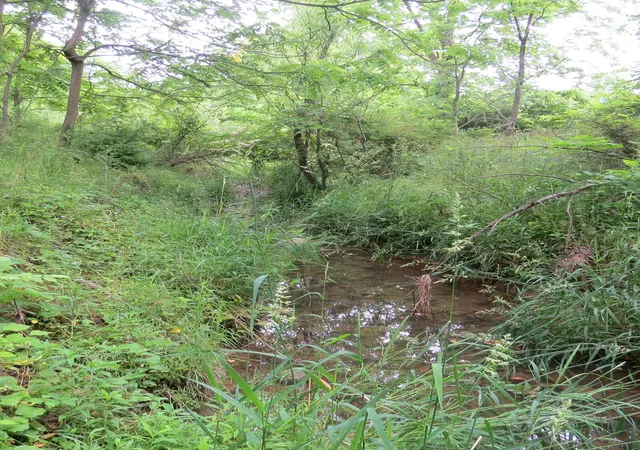4th image of 9730 Butcher Rd, Mount Vernon, OH 43050 | MLS# 226026432