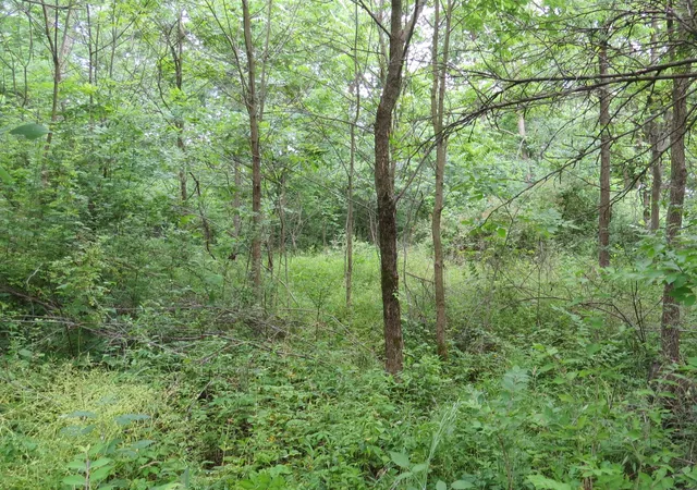 5th image of 9730 Butcher Rd, Mount Vernon, OH 43050 | MLS# 226026432