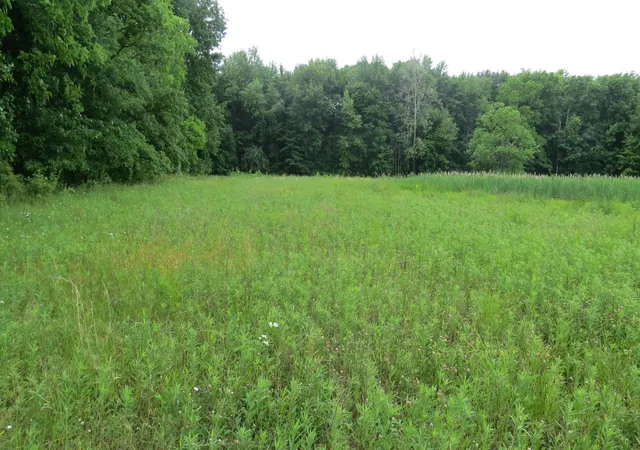 6th image of 9730 Butcher Rd, Mount Vernon, OH 43050 | MLS# 226026432