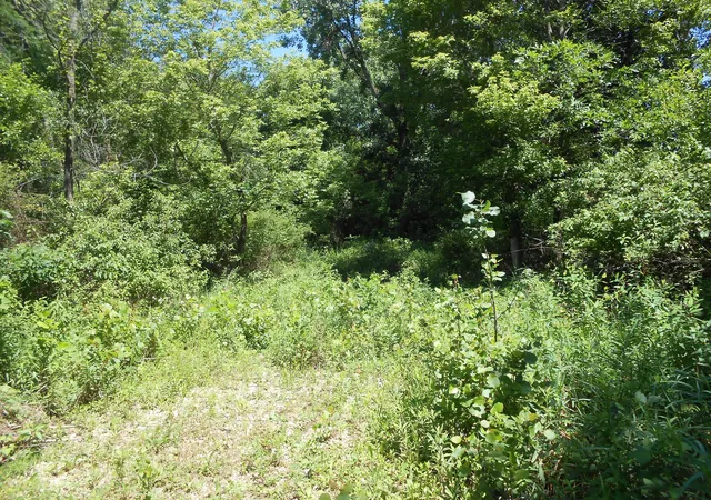 Photo 4 of Land for sale at 2810 Pleasantville Rd NE, Pleasantville, OH 43148 | MLS# 226026936 | Listing updated on 2026-09-03