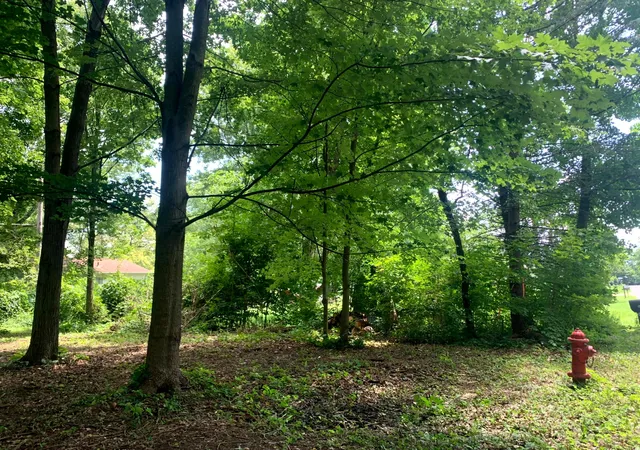 7th image of 115 King Ave Sw #(Pataskala Building Lot), Pataskala, OH 43062 | MLS# 226026655